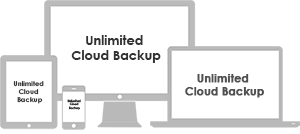 Flexible Backup for your Diverse Environment