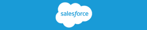 Salesforce Backup